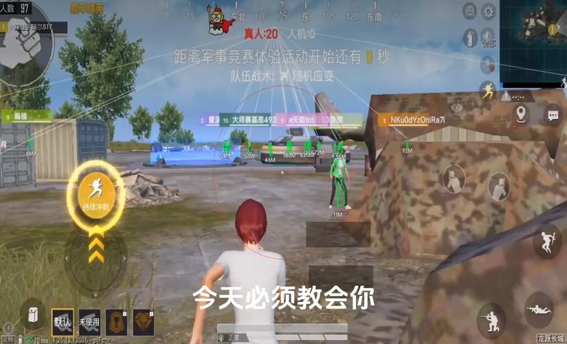 和平精英辅助【神眸】
