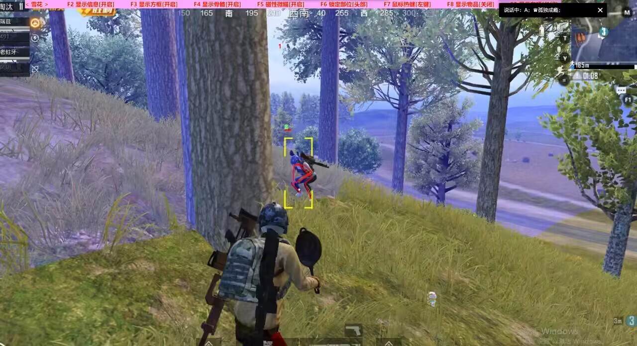 和平精英辅助【巡查员直装V1.0】人物透视 雷达预警 全车美化 枪械美化 人物加速